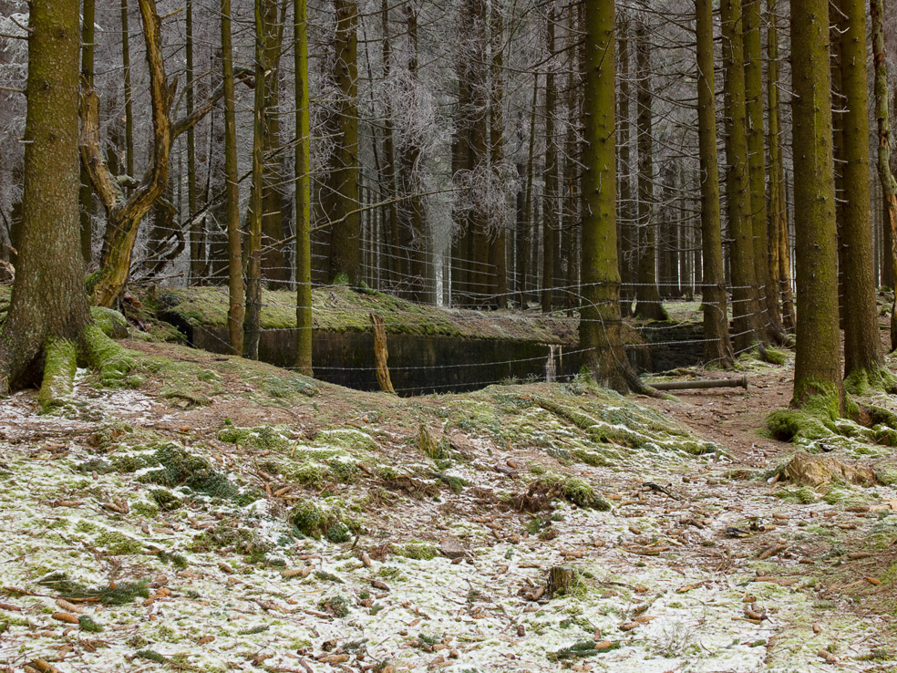 Bunkertrümmer-Westwall